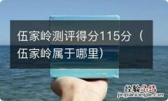 伍家岭属于哪里 伍家岭测评得分115分