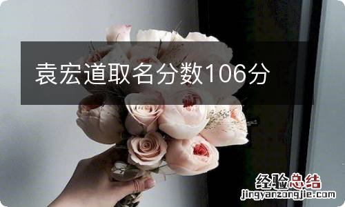 袁宏道取名分数106分