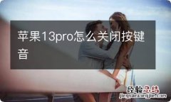 苹果13pro怎么关闭按键音