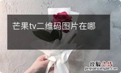 芒果tv二维码图片在哪