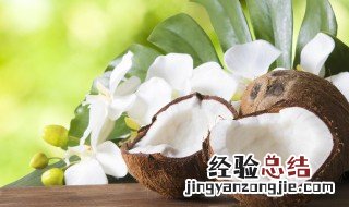 去椰子皮的方法 印度椰子皇要去皮吗