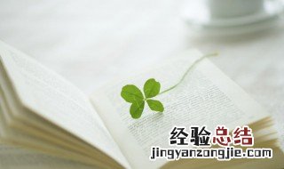 四叶草个性签名大全 关于四叶草的个性签名