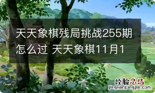 天天象棋残局挑战255期怎么过 天天象棋11月15日残局挑战攻略