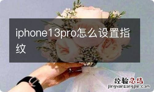iphone13pro怎么设置指纹