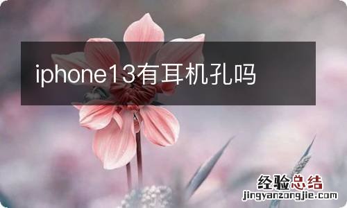 iphone13有耳机孔吗