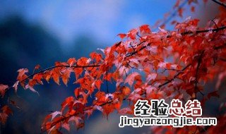 光雾山红叶最佳时间是什么时候 光雾山简介