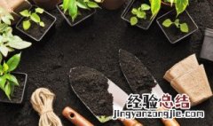 多肉石斑花怎么养? 石斑花的养殖方法和注意事项