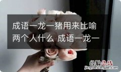 成语一龙一猪用来比喻两个人什么 成语一龙一猪比喻两个人什么