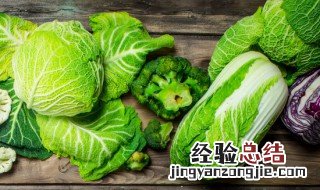 白菜放了几个月还没烂 白菜放了半个月不坏