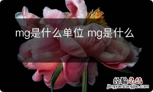 mg是什么单位 mg是什么