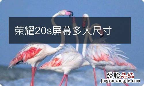 荣耀20s屏幕多大尺寸