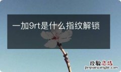 一加9rt是什么指纹解锁