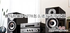 雅马哈MCR-N770蓝牙音箱怎么进行选项设置