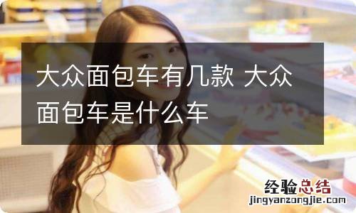 大众面包车有几款 大众面包车是什么车