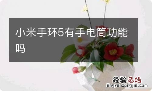 小米手环5有手电筒功能吗