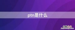 ptn是什么 ptn简称