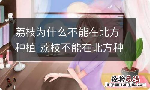 荔枝为什么不能在北方种植 荔枝不能在北方种植的原因