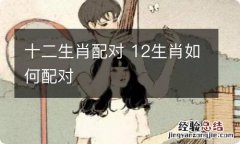 十二生肖配对 12生肖如何配对