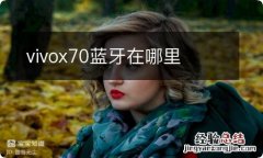 vivox70蓝牙在哪里