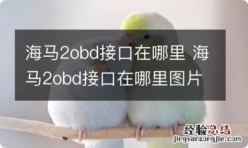 海马2obd接口在哪里 海马2obd接口在哪里图片