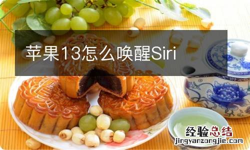 苹果13怎么唤醒Siri