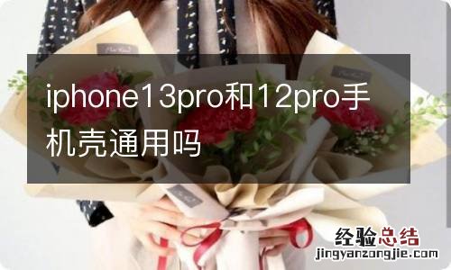 iphone13pro和12pro手机壳通用吗