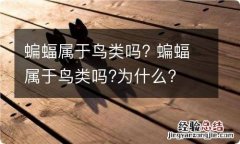 蝙蝠属于鸟类吗? 蝙蝠属于鸟类吗?为什么?