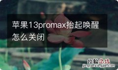 苹果13promax抬起唤醒怎么关闭