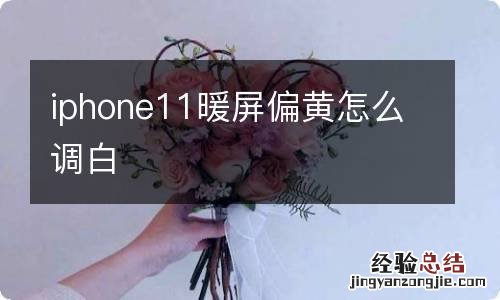 iphone11暖屏偏黄怎么调白