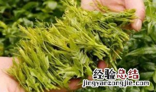 像小棍一样的茶叶 和小细棍一样的茶叶是什么茶