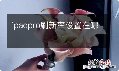 ipadpro刷新率设置在哪