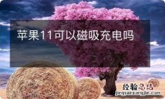 苹果11可以磁吸充电吗