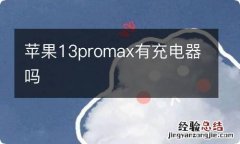 苹果13promax有充电器吗