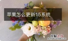 苹果怎么更新15系统