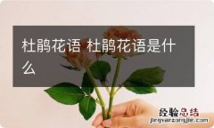 杜鹃花语 杜鹃花语是什么