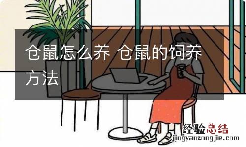 仓鼠怎么养 仓鼠的饲养方法