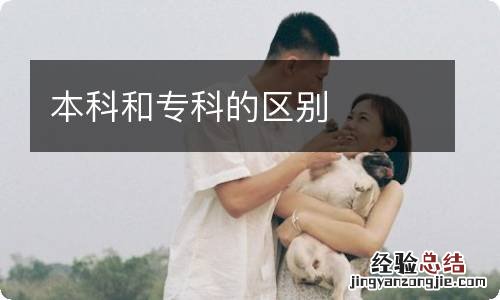 本科和专科的区别