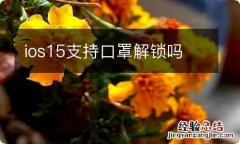 ios15支持口罩解锁吗