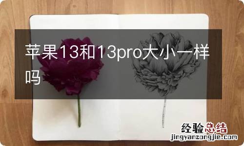 苹果13和13pro大小一样吗