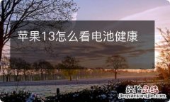 苹果13怎么看电池健康