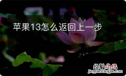 苹果13怎么返回上一步