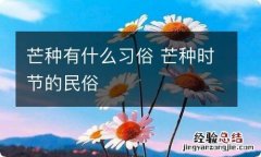 芒种有什么习俗 芒种时节的民俗