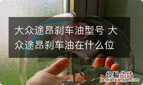 大众途昂刹车油型号 大众途昂刹车油在什么位置