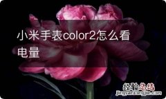 小米手表color2怎么看电量