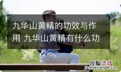 九华山黄精的功效与作用 九华山黄精有什么功效