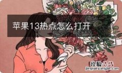 苹果13热点怎么打开