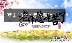 苹果13mini怎么解锁