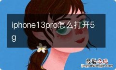 iphone13pro怎么打开5g