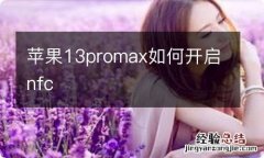 苹果13promax如何开启nfc