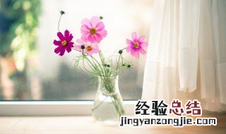 鲜花保鲜小妙招 4个简单技巧让鲜花保存更久